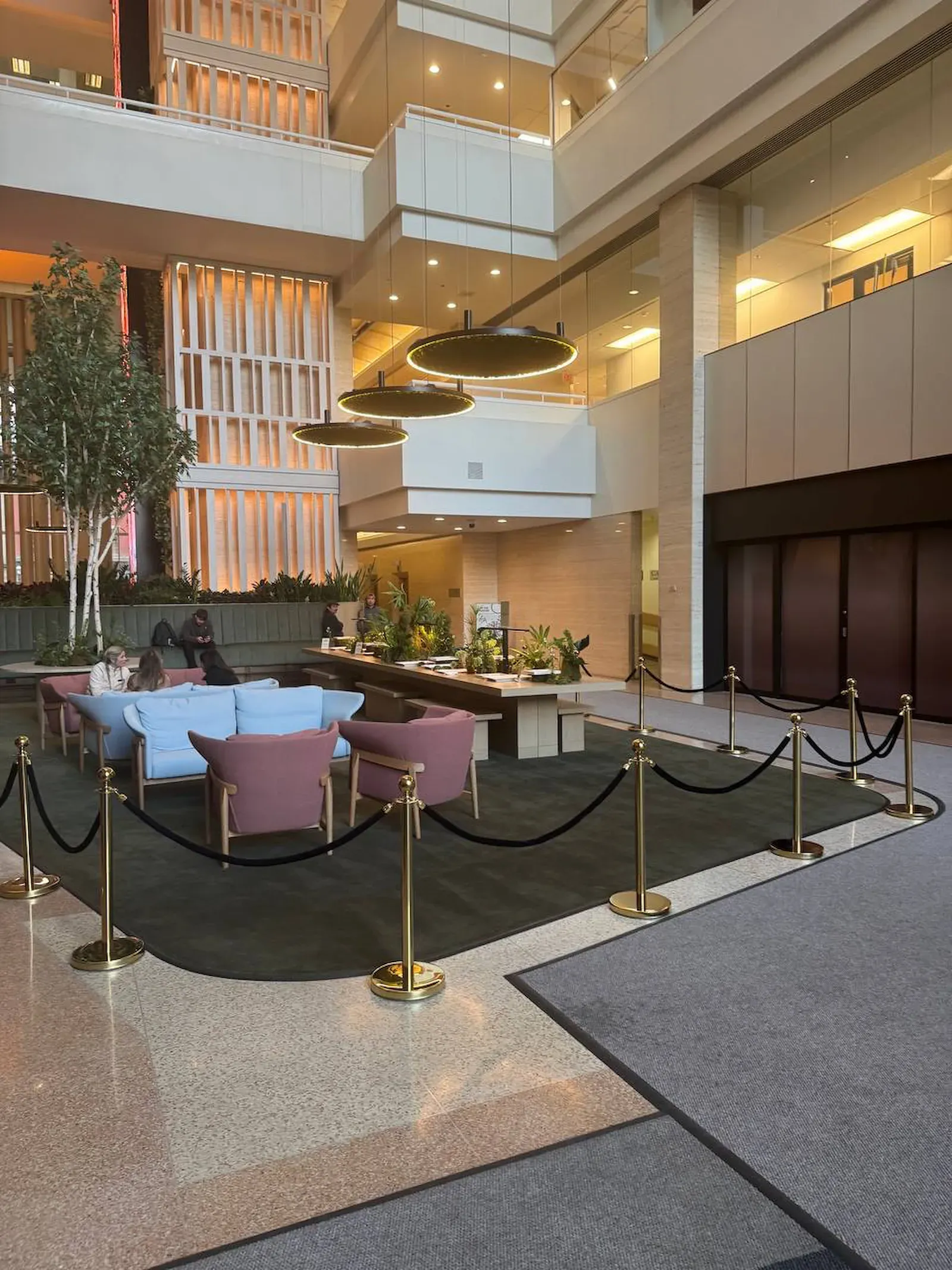 Gold rope stanchions with black velvet ropes across a lobby atrium